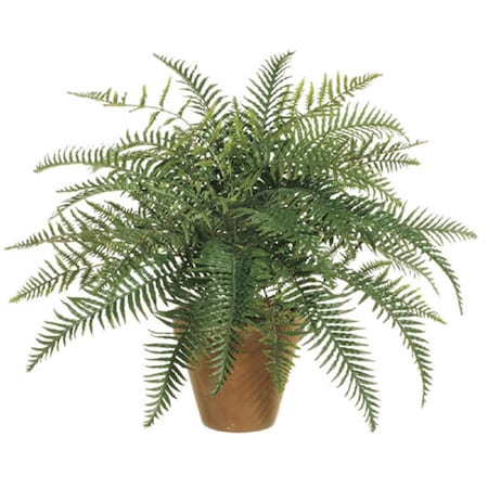 Allstate 24 Inch River Fern Bush X35, 6PK PBF180-