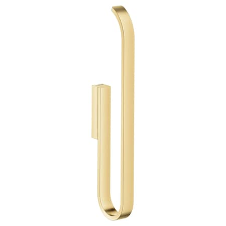 Grohe Selection Spare Toilet Paper Holder 41067GN0