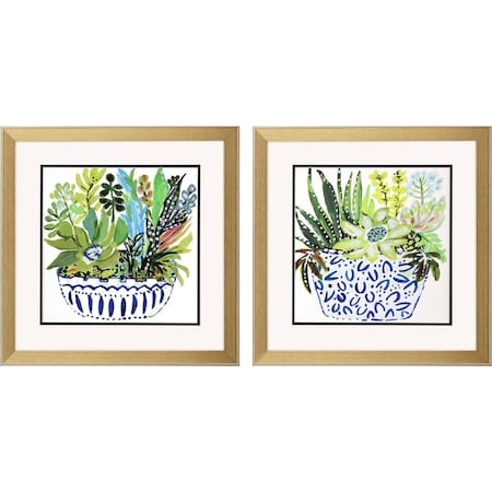 Homeroots Set Of Two Succulent Garden II Gold Framed Wall Art, 2PK 649146