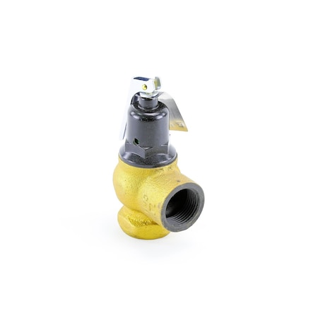 Lochinvar 3/4 in. x 1 in. 75# Relief Valve 100208450