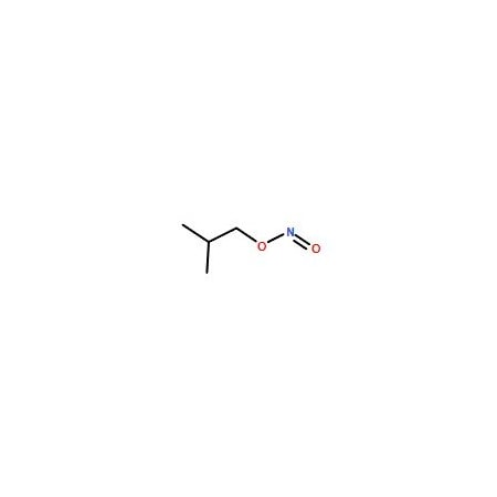 Ak Scientific Isobutyl nitrite (25g), CAS 542-56-3 8719AJ-25g