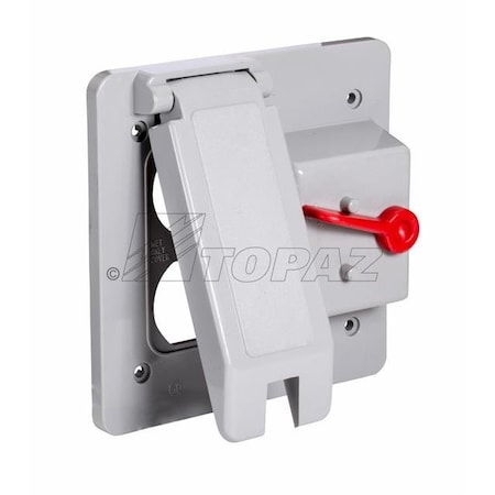 Topaz Duplex and Plunger Switch Cover, PVC, Square, 4.5625" x 4.5625" 1325
