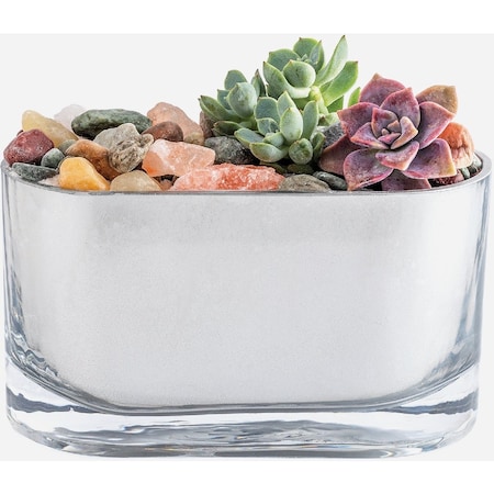 Krylon Looking Glass 6 Oz. Reflective Spray Paint Silver 9033