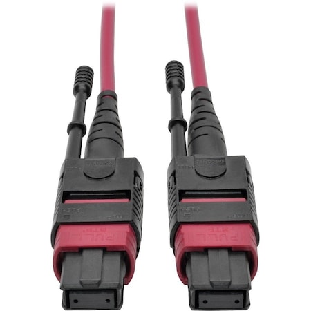 Eaton Tripp Lite Series 100G MTP/MPO Multimode OM4 Plenum-Rated Fiber Optic Cable F/F, 12 Fiber,  N845-02M-12-MG