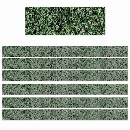 Teacher Created Resources Modern Farmhouse Boxwood Straight Border Trim, 35 Feet, 6PK TCR8513