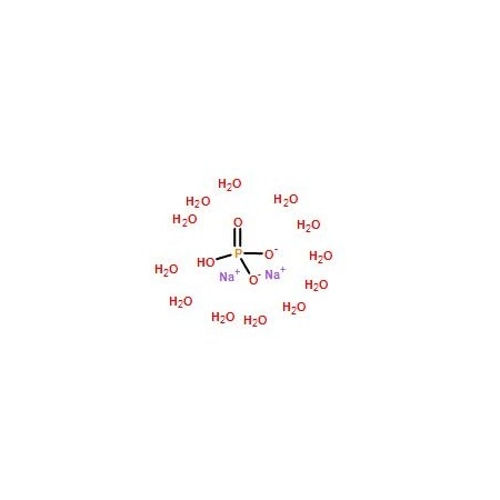 Ak Scientific Sodium phosphate dibasic dodecahydrate (25g), CAS 10039-32-4 5247AF-25g