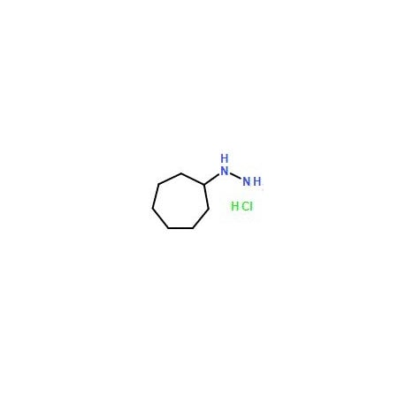 Ak Scientific 1-Cycloheptylhydrazine hydrochloride (250mg), CAS 79201-43-7 Y4105-250mg