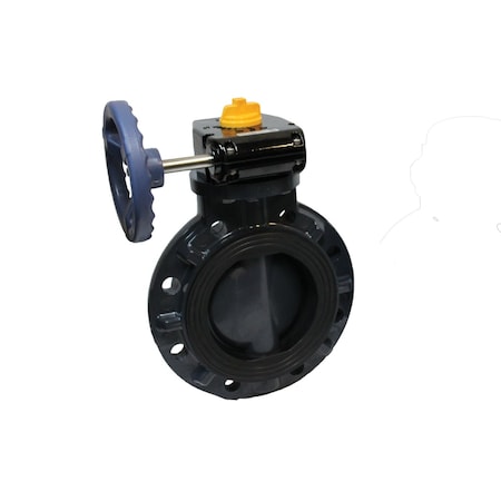 Asahi Valve, Butterfly, Pool-Pro, 12" Gear 3793120