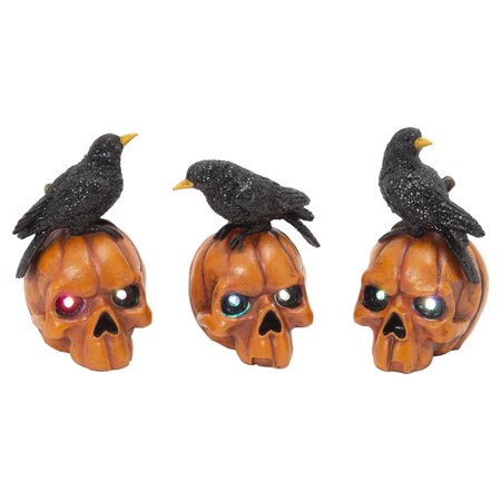 Gerson 6 in. Pumpkin Skull with Crow Fall Decor 2694870