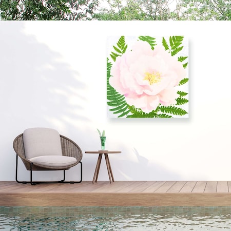 Trademark Fine Art Outdoor Canvas Art Tina Lavoie Fresh Peony II Wall Art for Patios, or Gardens ALI73710-OC3535WR