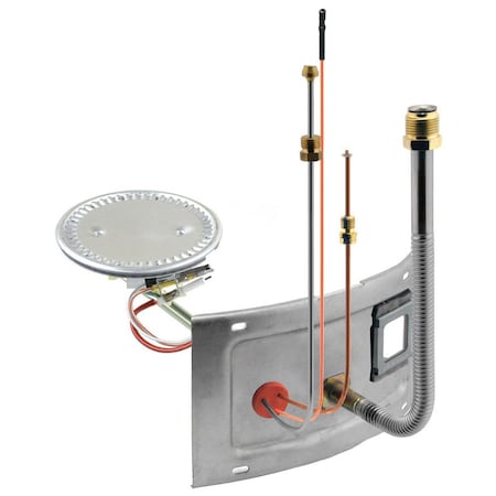 Rheem Burner Assembly AM43286