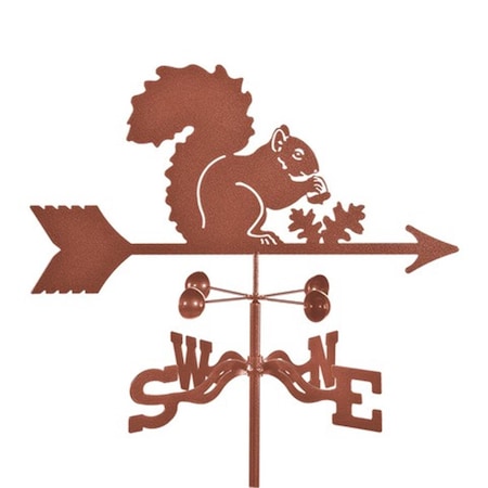 Ez Vane Squirrel Weathervane with Four Sided Mount EZ1317-4S
