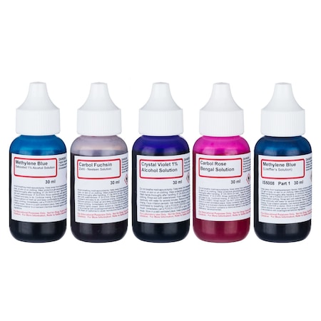 Amscope Bacteria Stain Kit of Five Chemicals for Preparing Microscope Slides SK-5