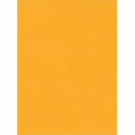 Quality Park Catalog Envelope, Lt Brown, Kraft, PK250 QUA43562