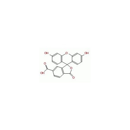 Ak Scientific 6-FAM (250mg), CAS 3301-79-9 X6762-250mg