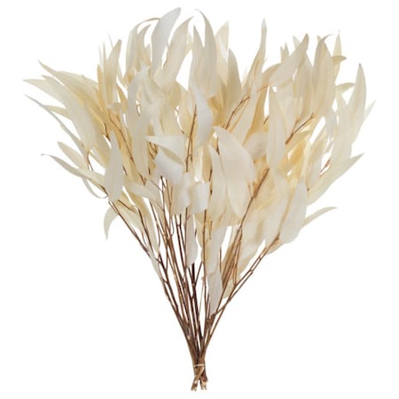 Vickerman 3.5 oz 18 in. Weeping Willow Eucaluptus Bundle, Bleached H1WIL999