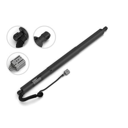 Stabilus Liftgate Lift Support (R) 27.48 Inch 24-12 Tesla 2A-277772