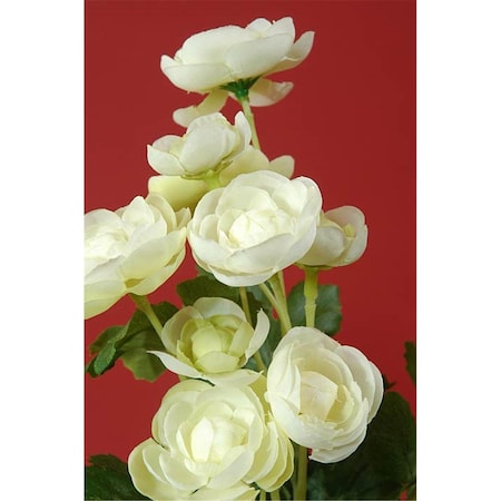 Allstate 13 in. Cream Mini Ranunculus Bush X5-, 12PK FBR995-CR