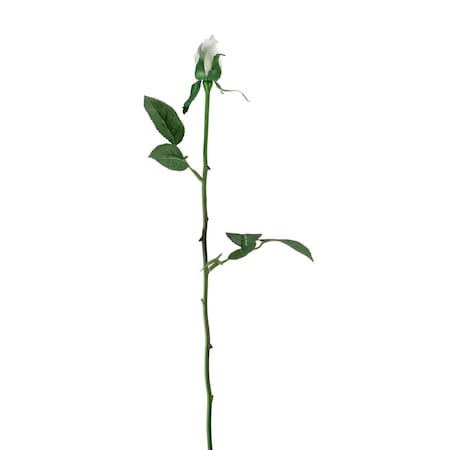 Cc Home Furnishings 22.5 in. Artificial Long Single Stem Budding Rose Flowers, Cream 32607832