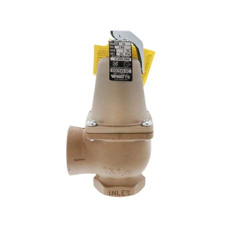 Raypak 60# Pressure Relief Valve 007754F