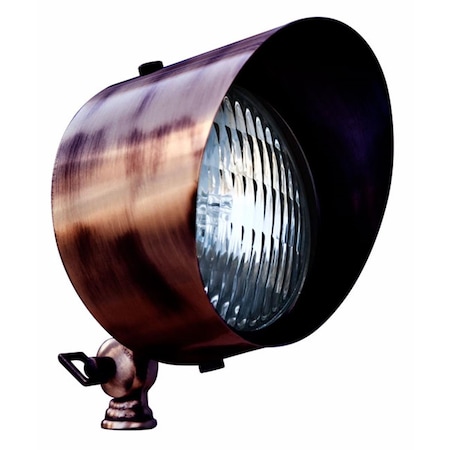 Intense Solid Brass Directional Flood Light with Hood, Antique Bronze IN2562873