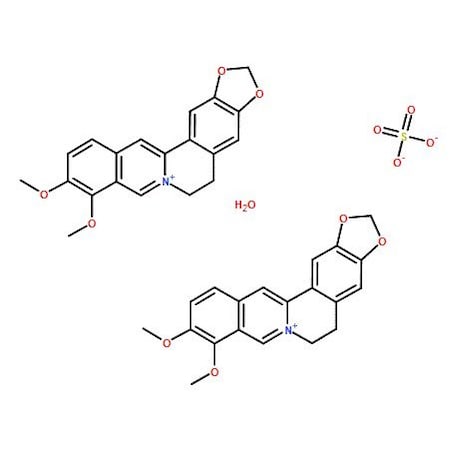 Ak Scientific Berberine sulfate hydrate (1g), CAS 316-41-6 9599AJ-1g