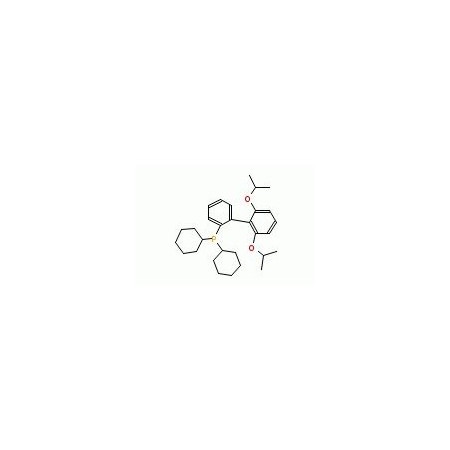 Ak Scientific RuPhos (500g), CAS 787618-22-8 W8468-500g