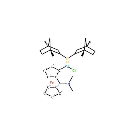 Ak Scientific Chloro(di-2-norbornylphosphino)(2-dimethylaminomethylferrocen-1-yl)palladium (II) (1g), CAS 614753- 8465AJ-1g