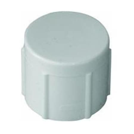 Charlotte Pipe And Foundry PVC 021171000HA 3/4 IN FIP CAP ) PVC 02117 1000HA