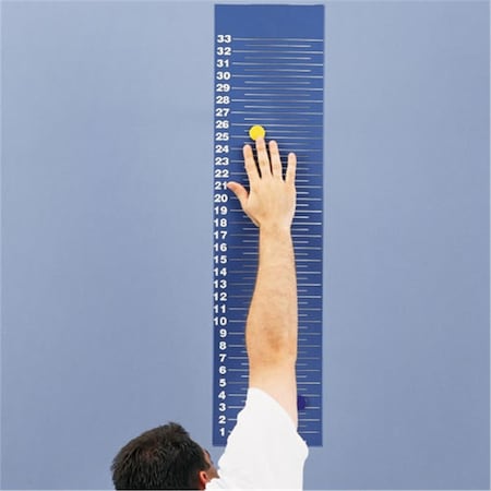 Gamecraft Magnetic Jump And Reach Board G002DXXXY