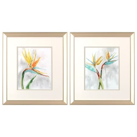 Set Of Two Bird of Paradise Champagne Framed Print Wall Art, 2PK
