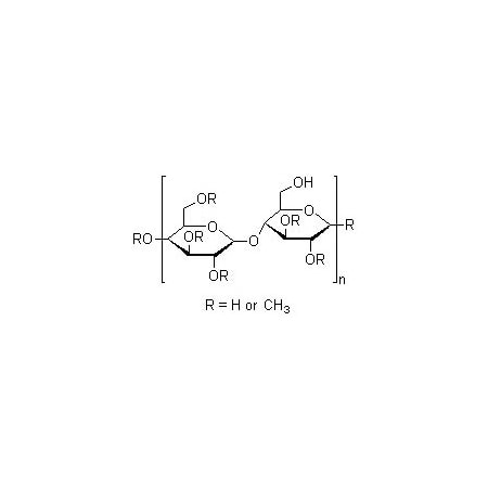 Ak Scientific Methyl cellulose (Viscosity: 1000-1800mPa·s, 2% in water at 20°C) (25g), CAS 9004-67-5 R317-25g