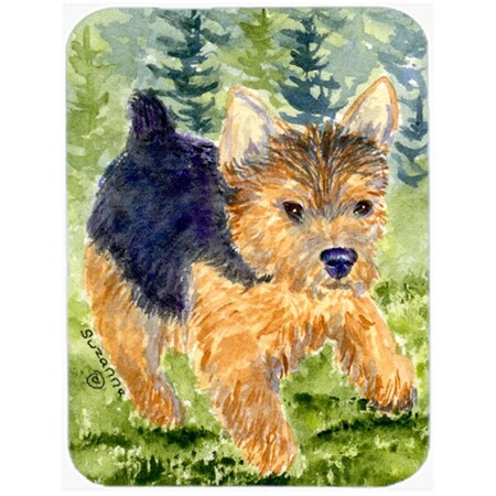 Carolines Treasures Norwich Terrier Glass Cutting Board- Large SS8907LCB