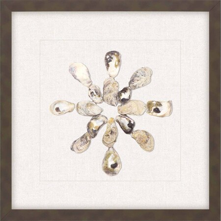 Homeroots Oyster Shell I Brown Framed Print Wall Art 526963
