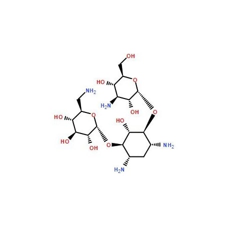 Ak Scientific Kanamycin, 860u/mg (1g), CAS 8063-07-8 K434-1g