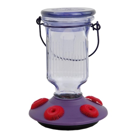 Perky-Pet Hummingbird 16 oz Glass Top-Fill Nectar Bird Feeder 5 ports 9101-2