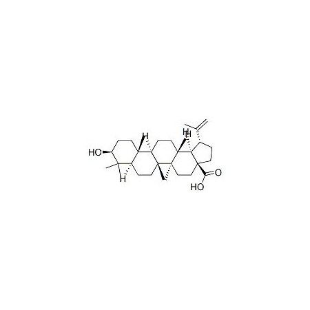 Ak Scientific Betulinic acid (100mg), CAS 472-15-1 P863-100mg