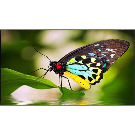 Nec Nec 55 Inch Ultra Narrow Bezel Video Wall Product; 3.5Mm Bezel UN552