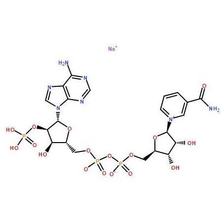 Ak Scientific beta-Nicotinamide adenine dinucleotide phosphate sodium salt (NADP sodium salt) (25g), CAS 1184-16- R595-25g