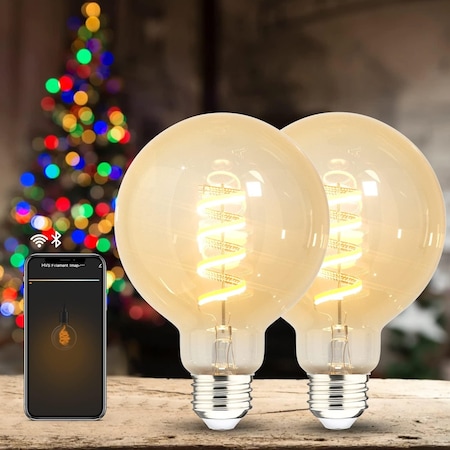 Homevenus Smart Edison Bulbs G95 E26 6W Dimmable Tunable Warm White 2100-5000K APP Control, 2PK SY-TF2CG95-02