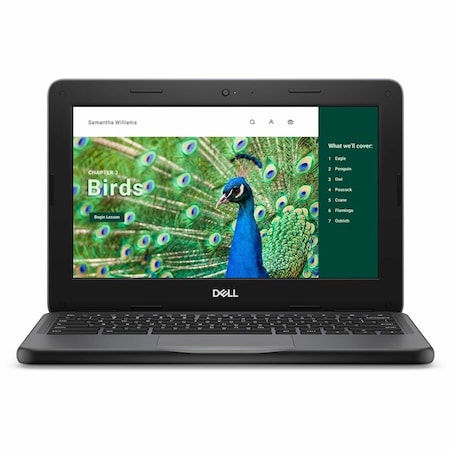 Dell CHROMEBOOK 3120-N100-4GB 1DIMM-64GB EMMC-11.6HD+NT-1366X768-3C-65W 51R7C