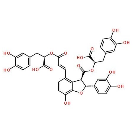 Ak Scientific Salvianolic acid B (10mg), CAS 121521-90-2 S609-10mg