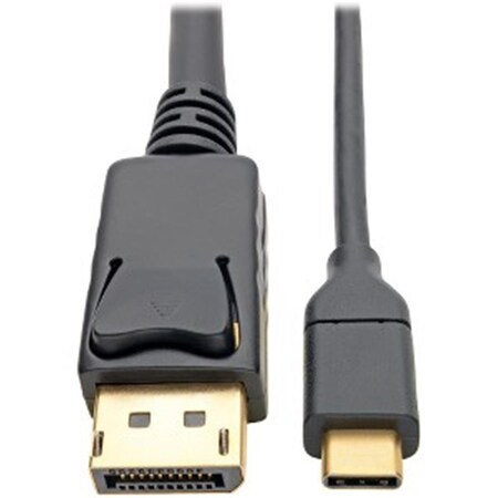 Doomsday 6 ft. 4K USB C to DisplayPort Adapter Converter Cable DO3010358