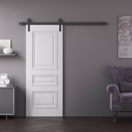 Sartodoors Barn Door 24x80 inches White Solid Core Modern Interior ROYAL9833BD-B-EMAL-24
