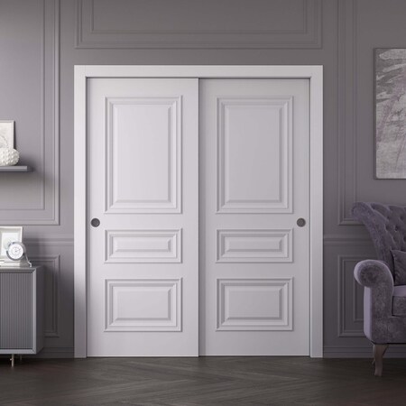 Sartodoors Sliding Closet Bypass Doors 48x84 inches White Solid Core Modern Interior ROYAL9833DBD-EMAL-4884
