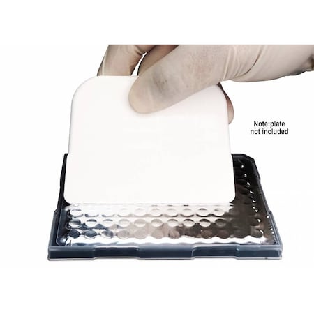 Excel Scientific Film Sealing Paddle, 5 per pack, 5PK 248743