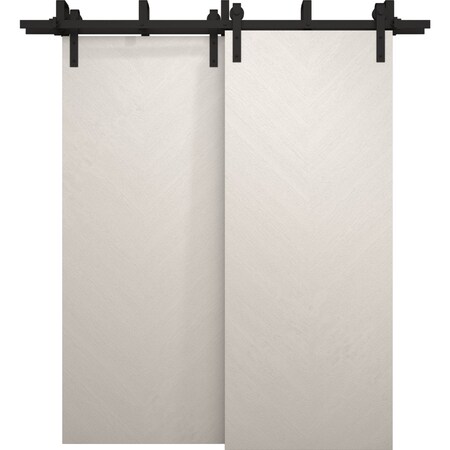 Sartodoors Sliding Closet Barn Bypass Doors 36 x 80 inches, Ego 5005 Painted White Oak, Modern 6.6ft Rails Ha EGO5005BBB-PWO-36