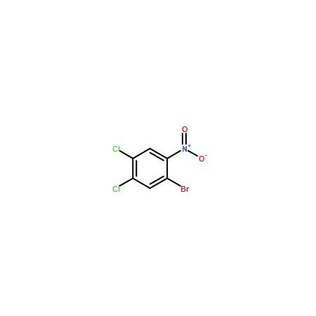 Ak Scientific 1-Bromo-4, 5-dichloro-2-nitrobenzene (5g), CAS 93361-94-5 X7359-5g
