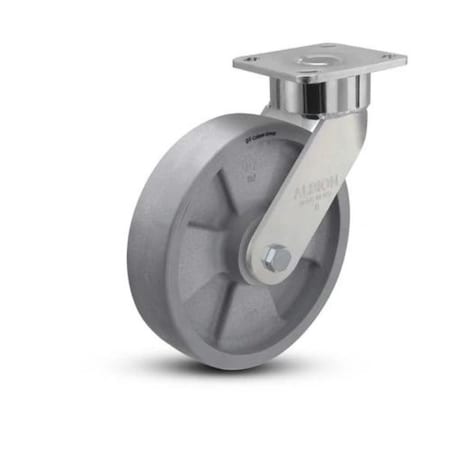 Albion Caster, Maintenance-Free, 8x2, 28DT08228S01 28DT08228S01