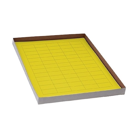Zoro Select Cyro Label, Yellow, Polypropylene, PK20 GRAING-C126